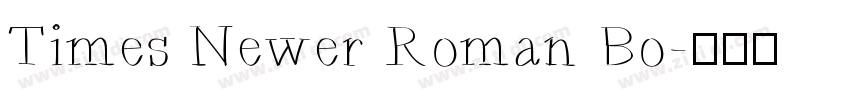 Times Newer Roman Bo字体转换 Times Newer Roman Bo字体转换